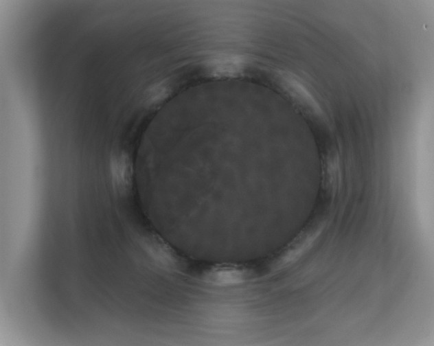 X0000111520228200907211230