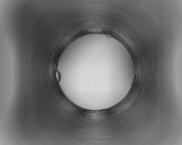 X0000111520229200907211230