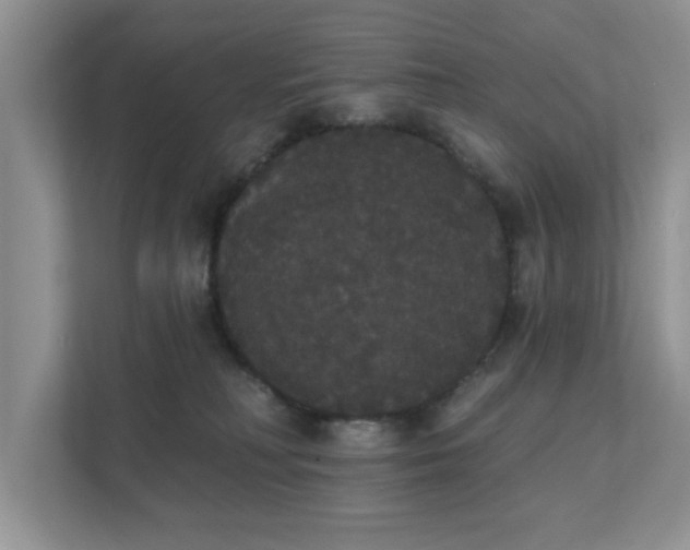 X0000111520230200907211230