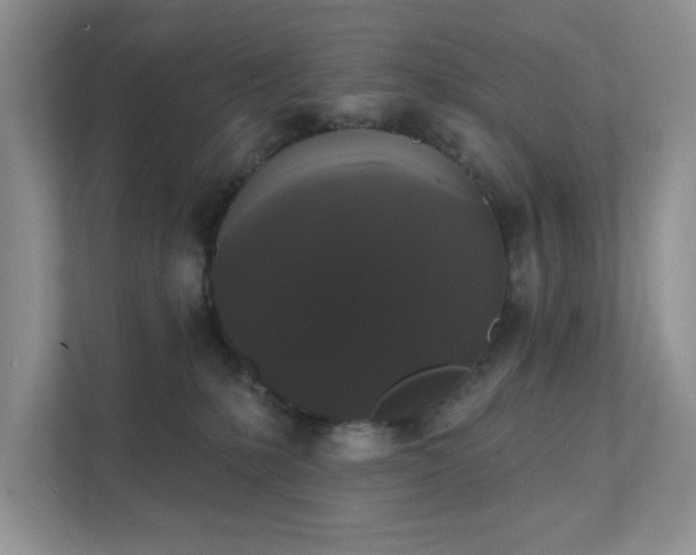 X0000111520231200907211230