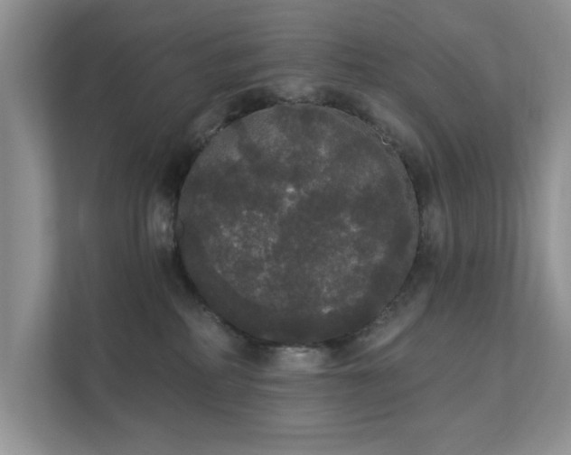 X0000111520234200907211230