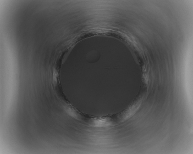 X0000111520235200907211230