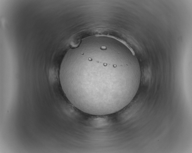 X0000111520236200907211230