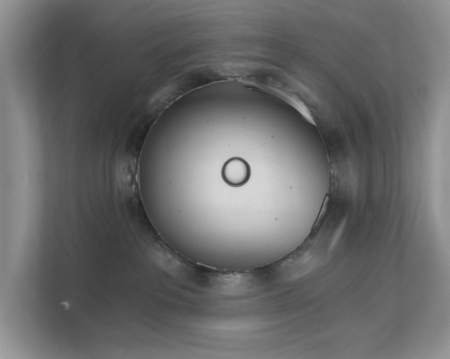 X0000111520237200907211230
