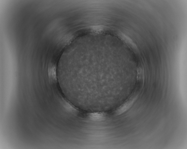 X0000111520238200907211230