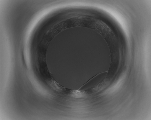 X0000111520239200907211230