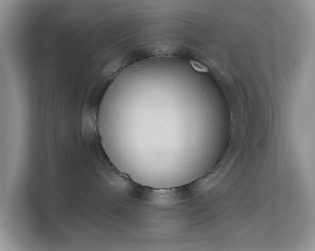 X0000111520240200907211230