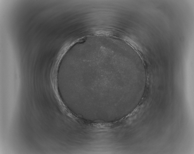 X0000111520241200907211230
