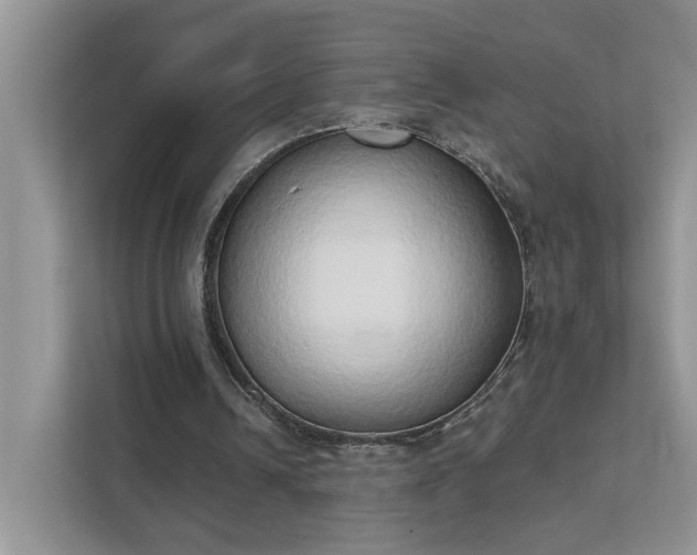 X0000111520242200907211230