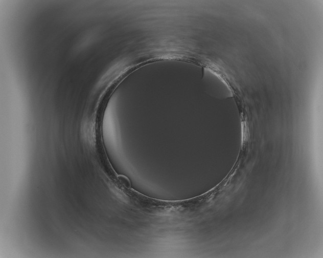 X0000111520243200907211230