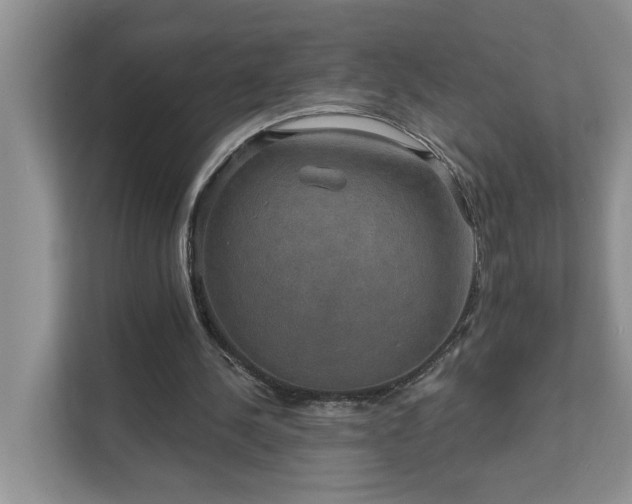 X0000111520244200907211230