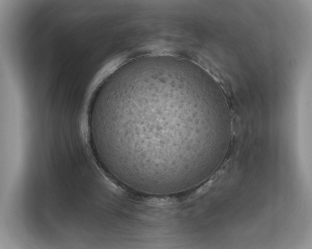 X0000111520245200907211230