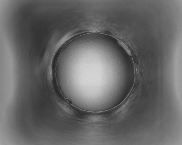 X0000111520246200907211230