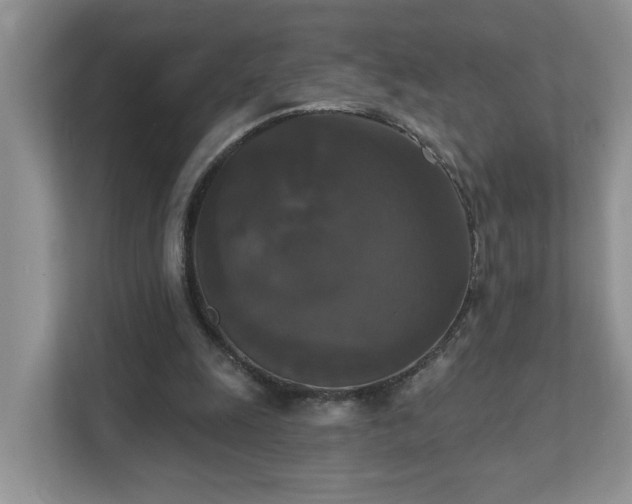 X0000111520247200907211230