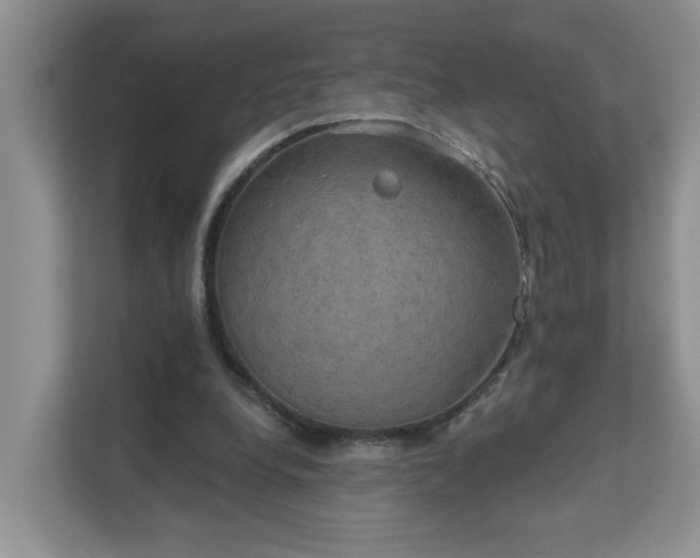 X0000111520248200907211230