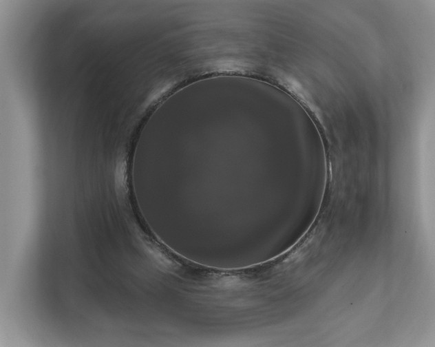 X0000111520249200907211230