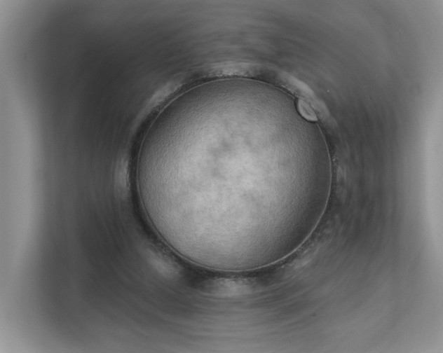 X0000111520250200907211230