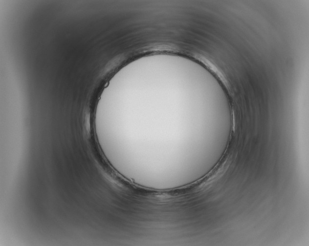 X0000111520253200907211230