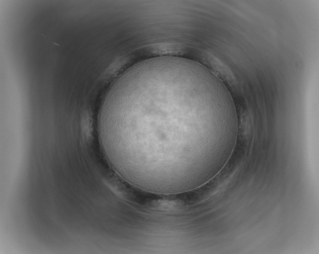 X0000111520255200907211230