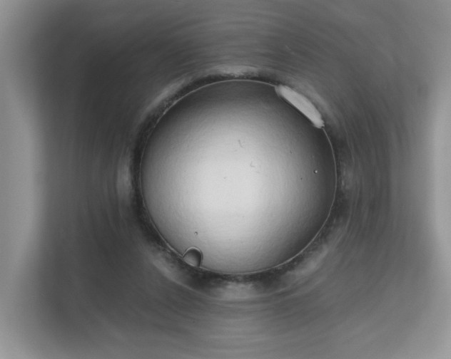 X0000111520256200907211230