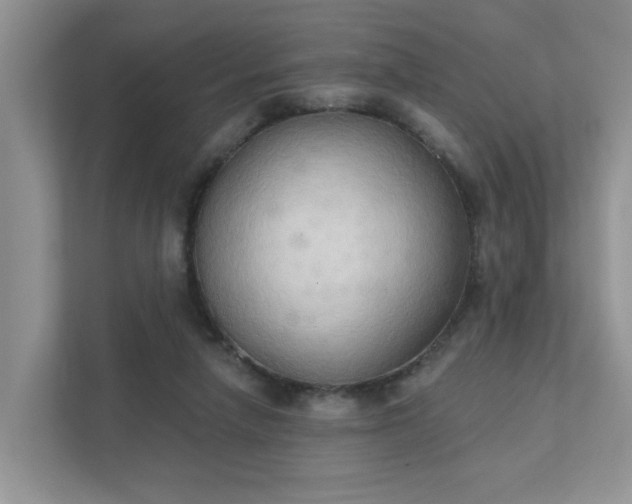 X0000111520258200907211230