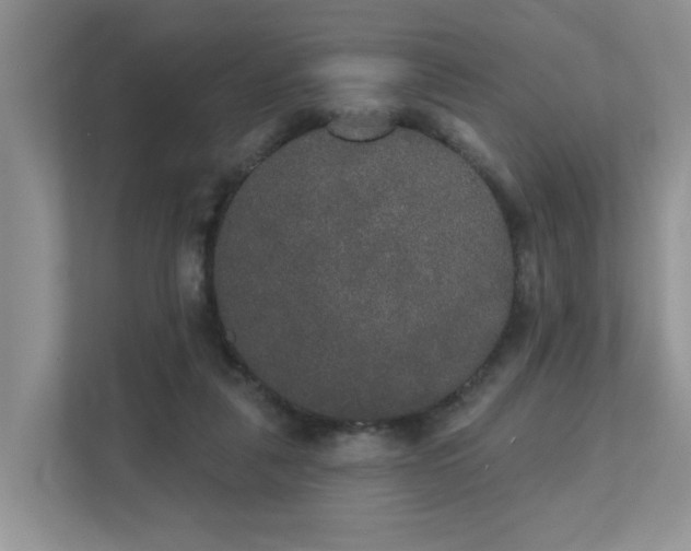X0000111520259200907211230