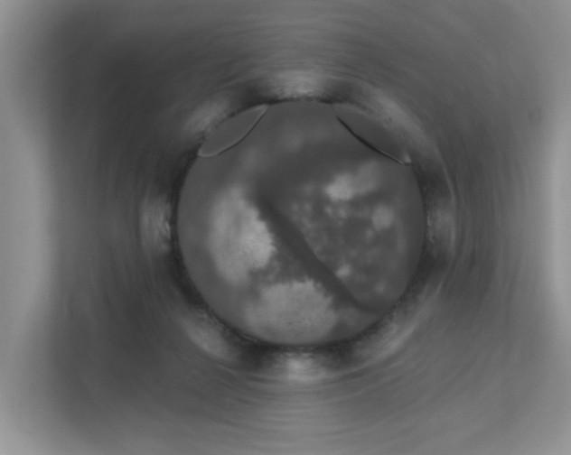 X0000111520264200907211230