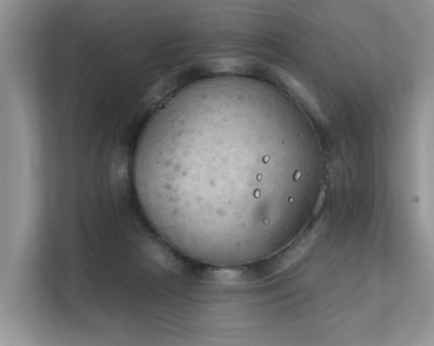 X0000111520265200907211230