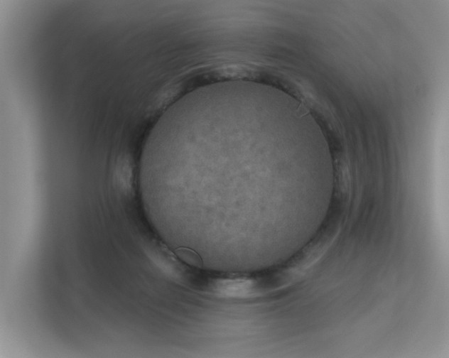 X0000111520266200907211230