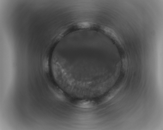 X0000111520267200907211230