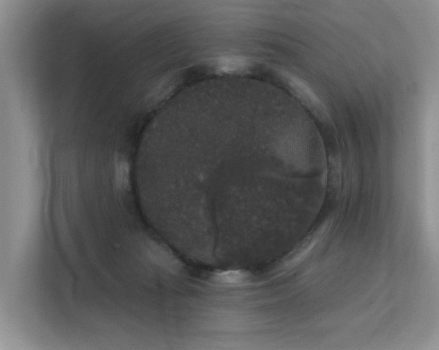 X0000111520269200907211230