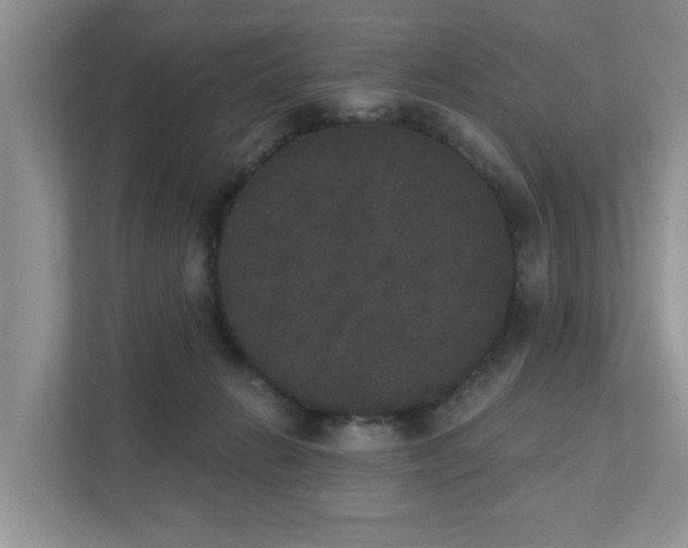 X0000111520270200907211230