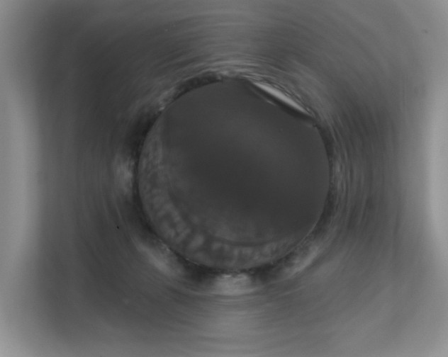 X0000111520271200907211230
