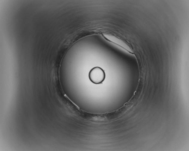 X0000111520272200907211230