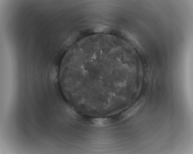 X0000111520273200907211230