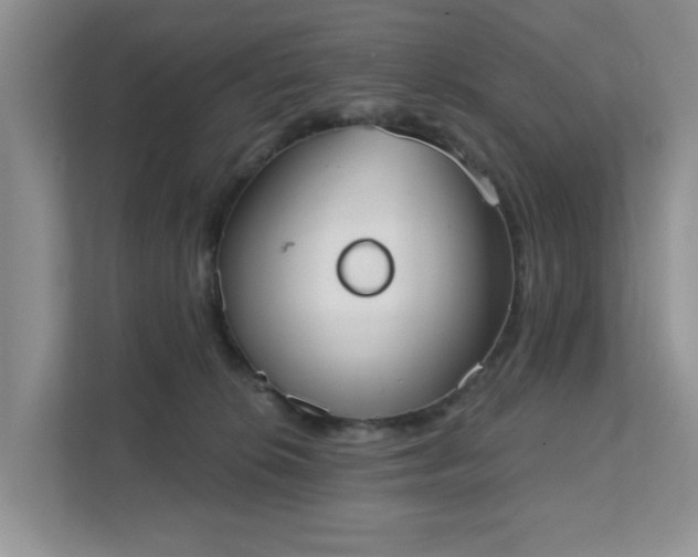 X0000111520276200907211230