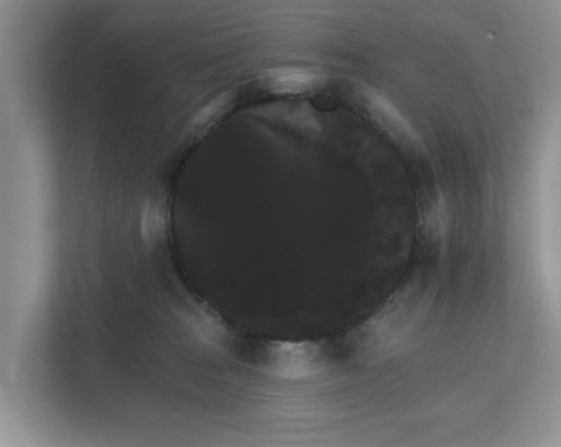 X0000111520277200907211230