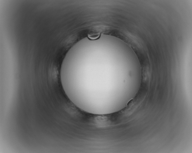 X0000111520279200907211230