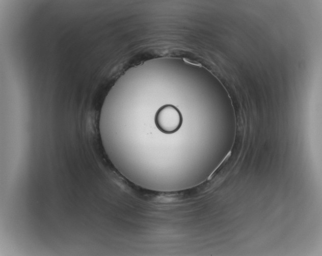 X0000111520280200907211230