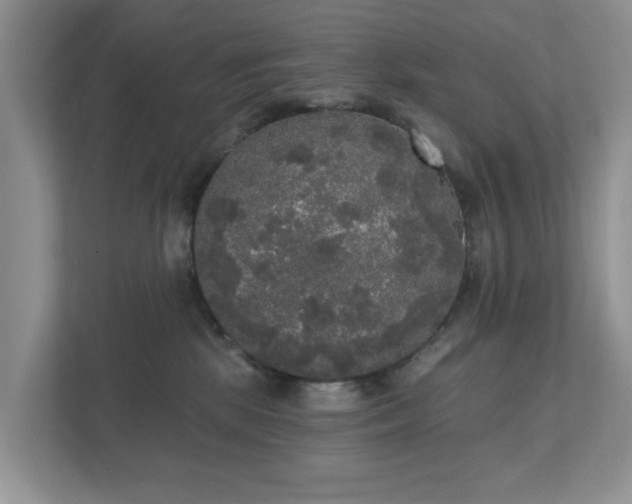 X0000111520281200907211230
