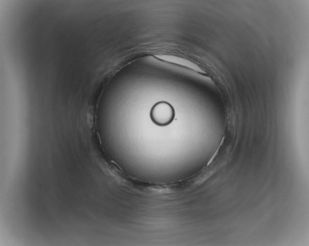 X0000111520284200907211230
