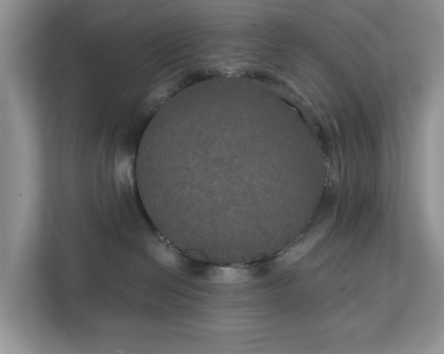 X0000111520286200907211230