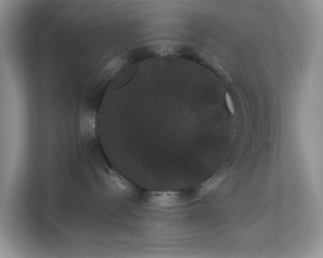 X0000111520288200907211230