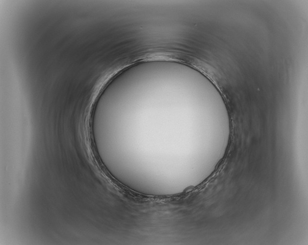 X0000111520289200907211230