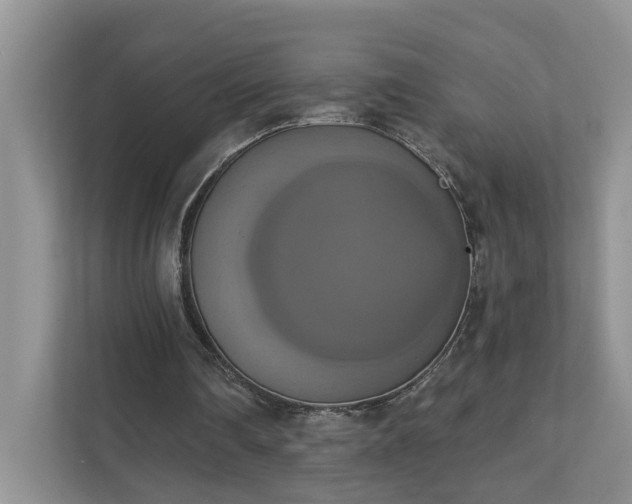 X0000111520290200907211230