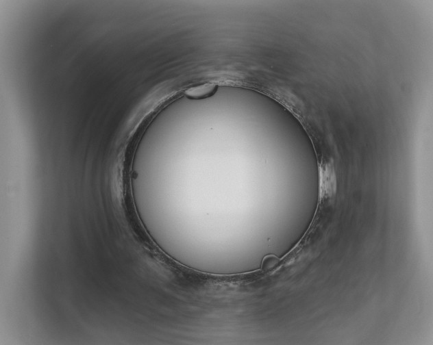 X0000111520291200907211230