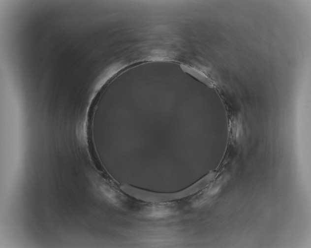X0000111520292200907211230