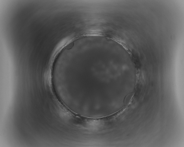 X0000111520293200907211230