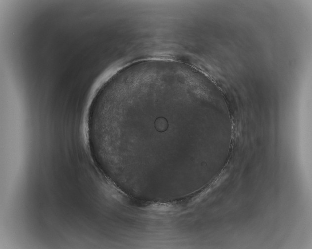X0000111520294200907211230