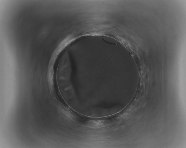 X0000111520295200907211229